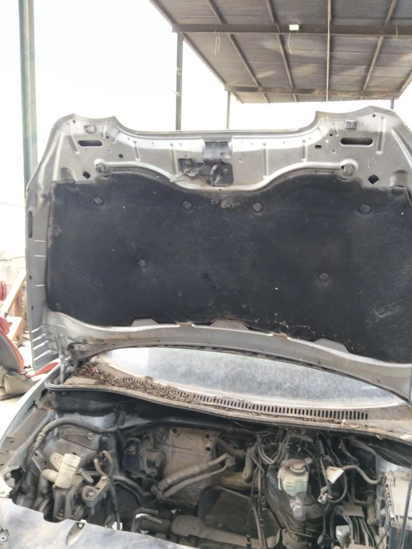 Foto de CAPO SEAT ALTEA (5P1) 1.9 TDI (105 CV / 77 KW) referencia 5P0823031C