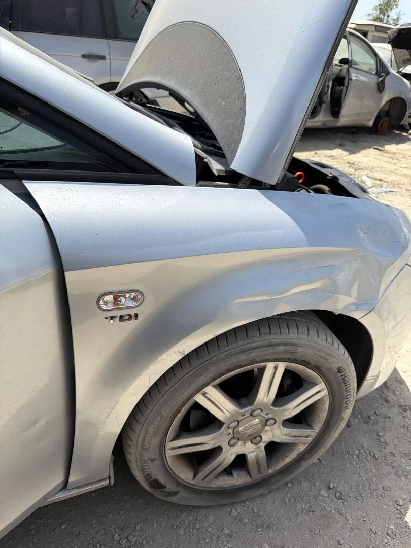 Foto de ALETA DELANTERA DERECHA SEAT LEON (1P1)
