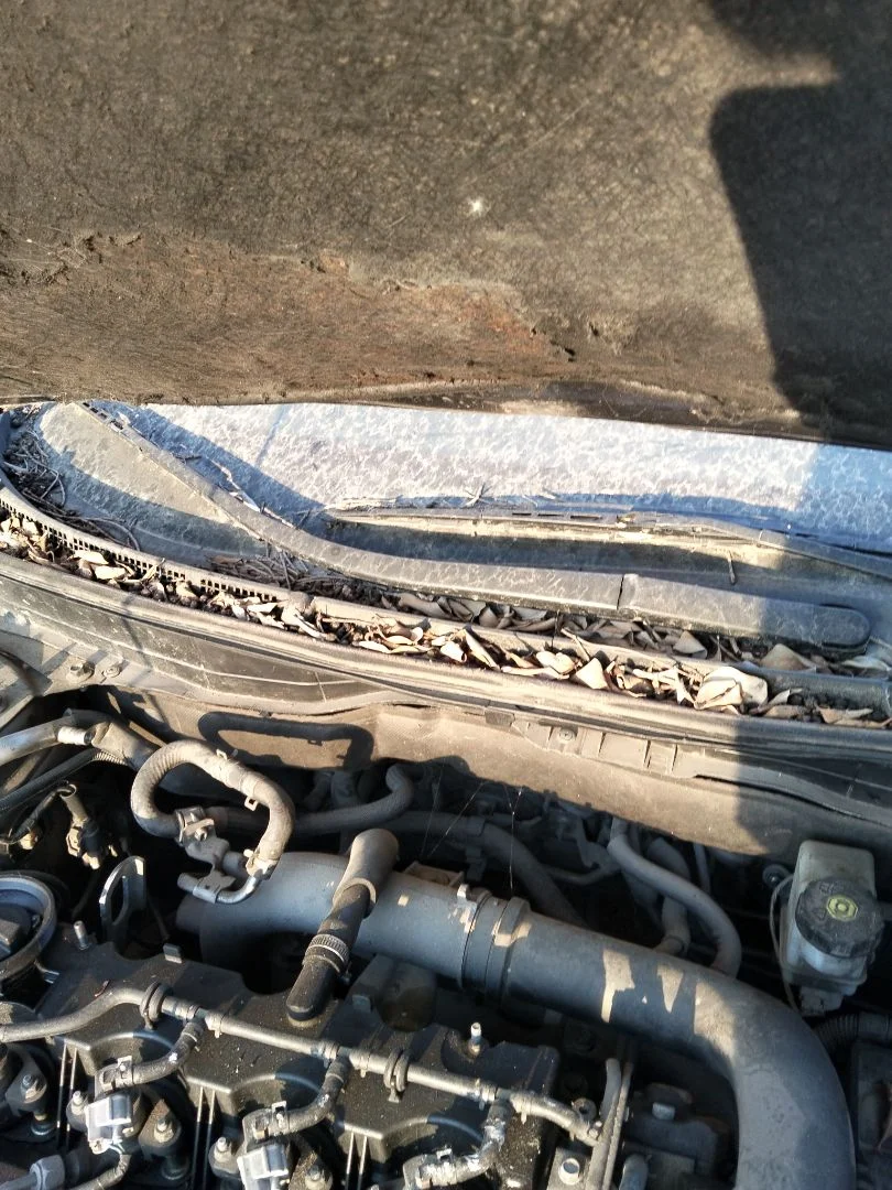 Foto de BRAZO LIMPIA DELANTERO DERECHO MAZDA 6 BERLINA (GH) 2.2 Turbodiesel CAT (163 CV / 120 KW) referencia GS1E-67-321