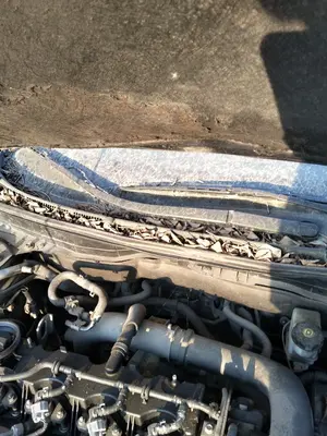 Foto de BRAZO LIMPIA DELANTERO DERECHO MAZDA 6 BERLINA (GH) 2.2 Turbodiesel CAT (163 CV / 120 KW) referencia GS1E-67-321