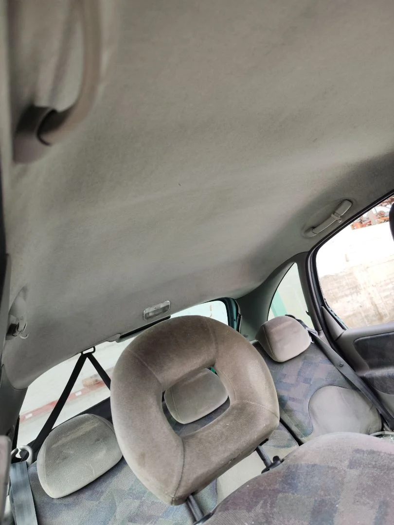 Foto de TECHO INTERIOR CITROEN XSARA PICASSO 1.6 HDi CAT (9HY / DV6TED4) (109 CV / 80 KW) referencia 8331P3