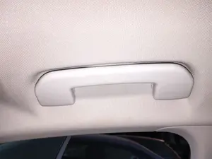 Foto de ASIDERO TECHO DELANTERO DERECHO PEUGEOT 308