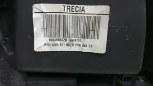 Foto de GUARNECIDO PUERTA DELANTERA IZQUIERDA CITROEN C4 BERLINA 1.6 16V HDi (90 CV / 66 KW) referencia 96838935ZD foto 3
