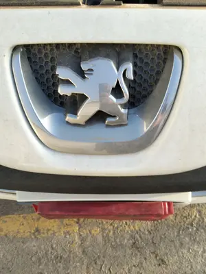 Foto de REJILLA DELANTERA PEUGEOT 308 SW 1.6 HDi FAP CAT (9HZ / DV6TED4) (109 CV / 80 KW)