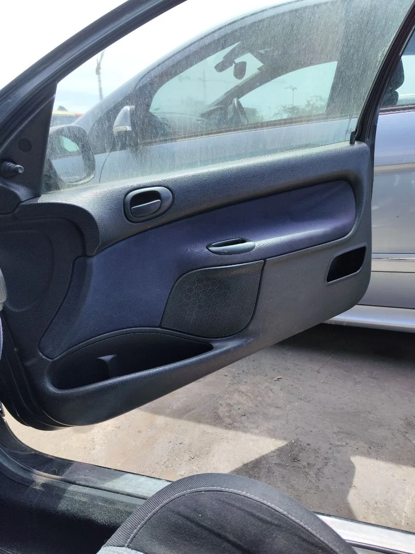 Foto de GUARNECIDO PUERTA DELANTERA DERECHA PEUGEOT 206 1.4 (75 CV / 55 KW)