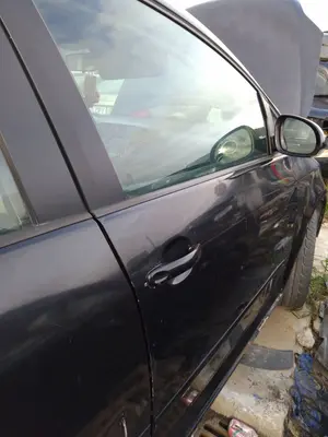 Foto de PUERTA DELANTERA DERECHA VOLKSWAGEN GOLF PLUS V (5M1) 1.9 TDI (105 CV / 77 KW)
