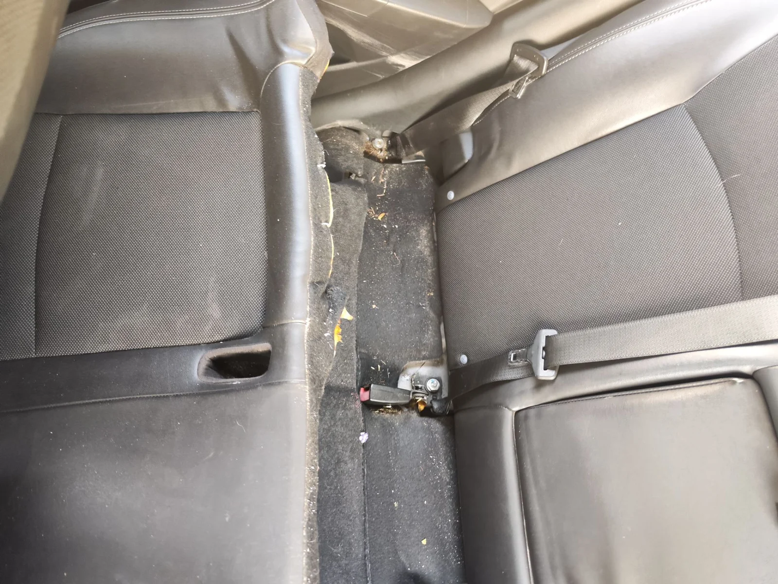 Foto de ENGANCHE CINTURON TRASERO DERECHO CHEVROLET CRUZE 2.0 Diesel CAT (163 CV / 120 KW)