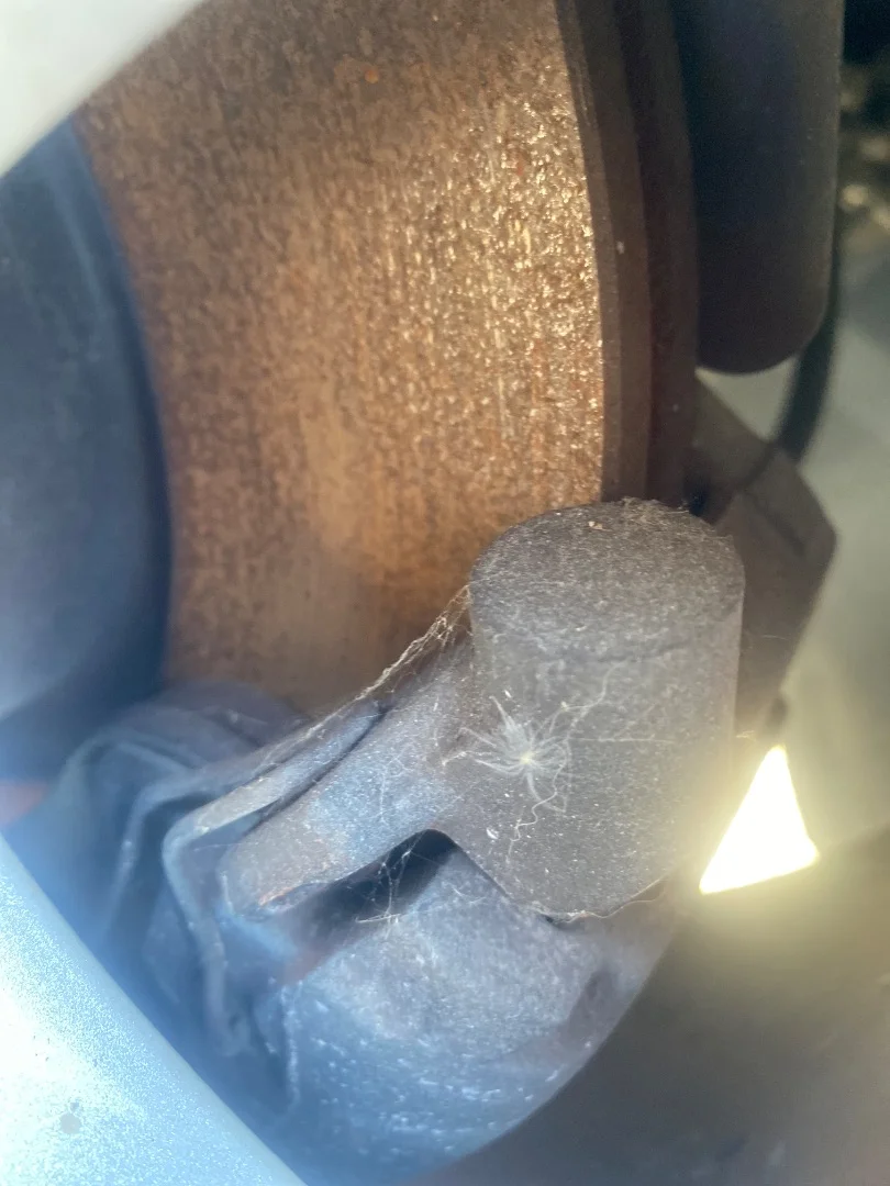 Foto de PINZA DE FRENO DELANTERA DERECHA FORD KUGA (CBV) 2.0 TDCi CAT (136 CV / 100 KW)