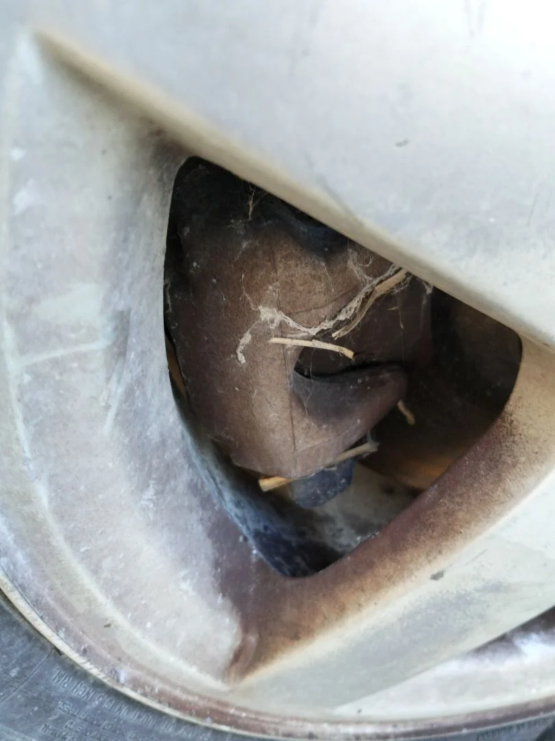 Foto de PINZA DE FRENO TRASERA DERECHA PEUGEOT 407 1.6 HDi FAP CAT (9HZ / DV6TED4) (109 CV / 80 KW) referencia 4401G5
