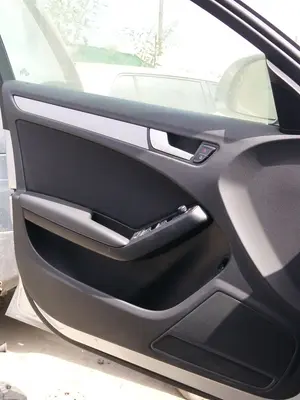 Foto de GUARNECIDO PUERTA DELANTERA IZQUIERDA AUDI A4 BERLINA (8K2) 2.0 16V TDI (143 CV / 105 KW) foto 1