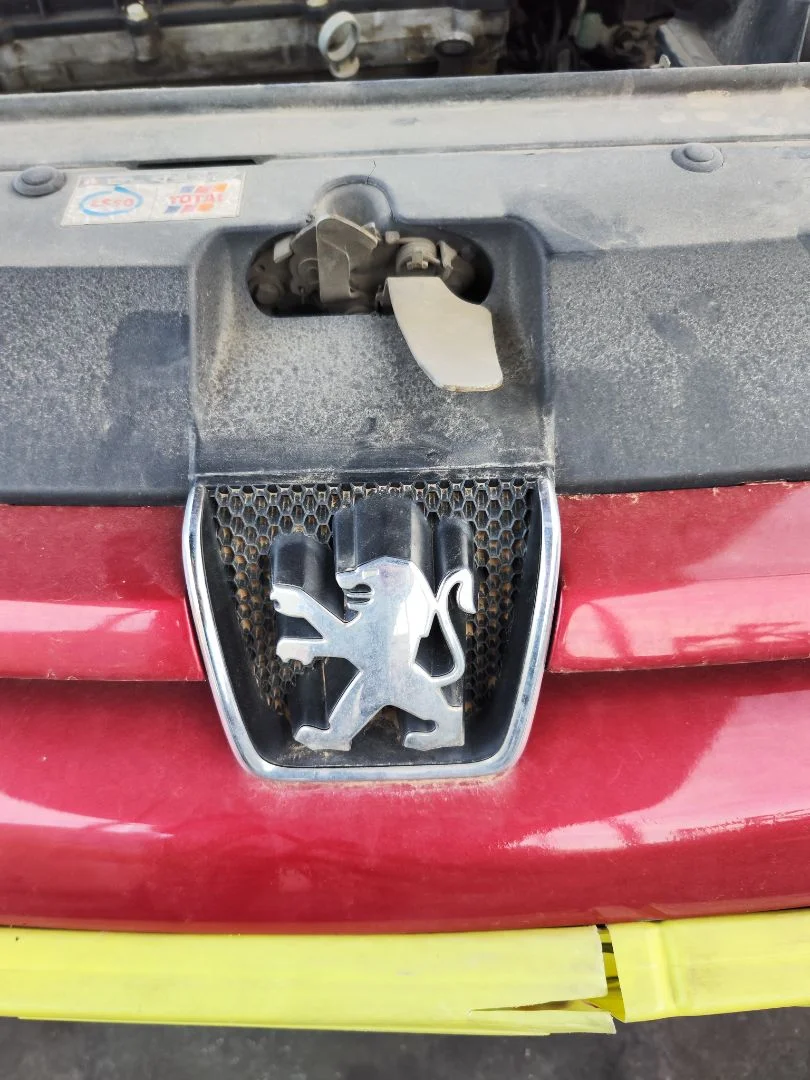 Foto de REJILLA DELANTERA PEUGEOT 307 (S1)(04.2001) 1.6 16V CAT (109 CV / 80 KW)