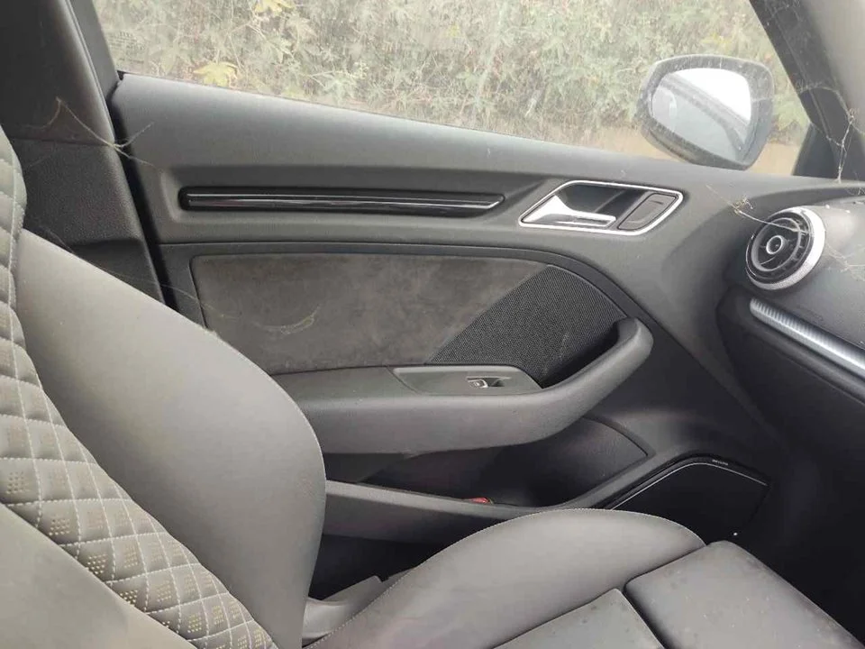 Foto de GUARNECIDO PUERTA DELANTERA IZQUIERDA AUDI RS 3 SPORTBACK (8VA) 2.5 20V TFSI (367 CV / 270 KW)