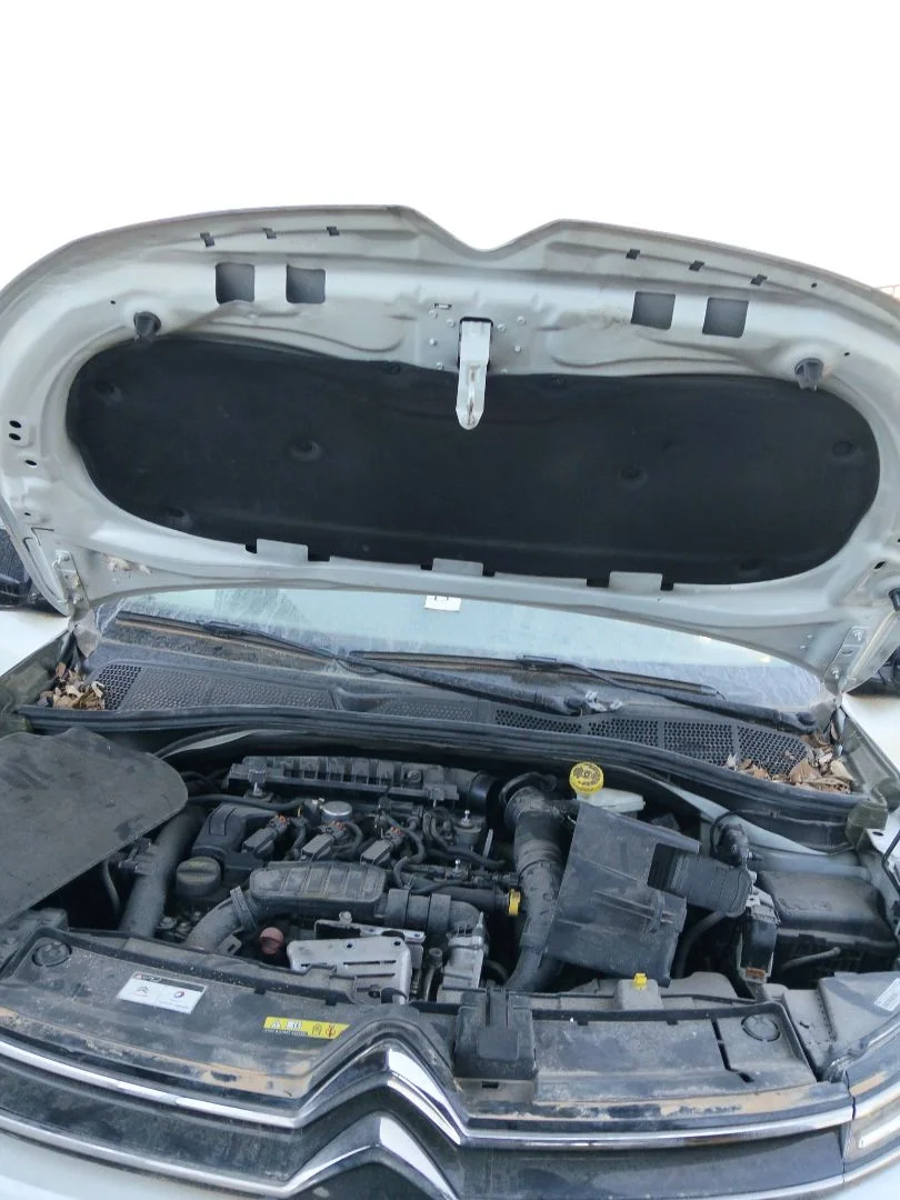 Foto de CAPO CITROEN C4 CACTUS 1.2 12V VTi (82 CV / 60 KW) referencia 9828105480