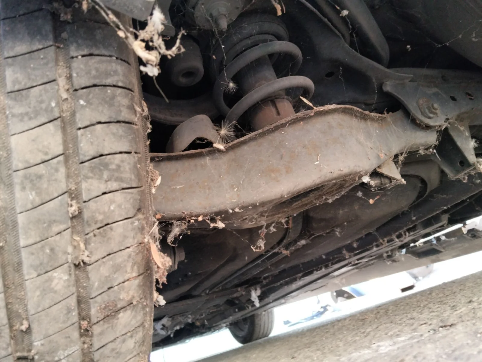 Foto de BRAZO SUSPENSION TRASERO IZQUIERDO MAZDA 6 BERLINA (GH) 2.2 Turbodiesel CAT (163 CV / 120 KW)