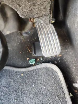 Foto de POTENCIOMETRO PEDAL PEUGEOT 207 1.6 16V HDi (90 CV / 66 KW)