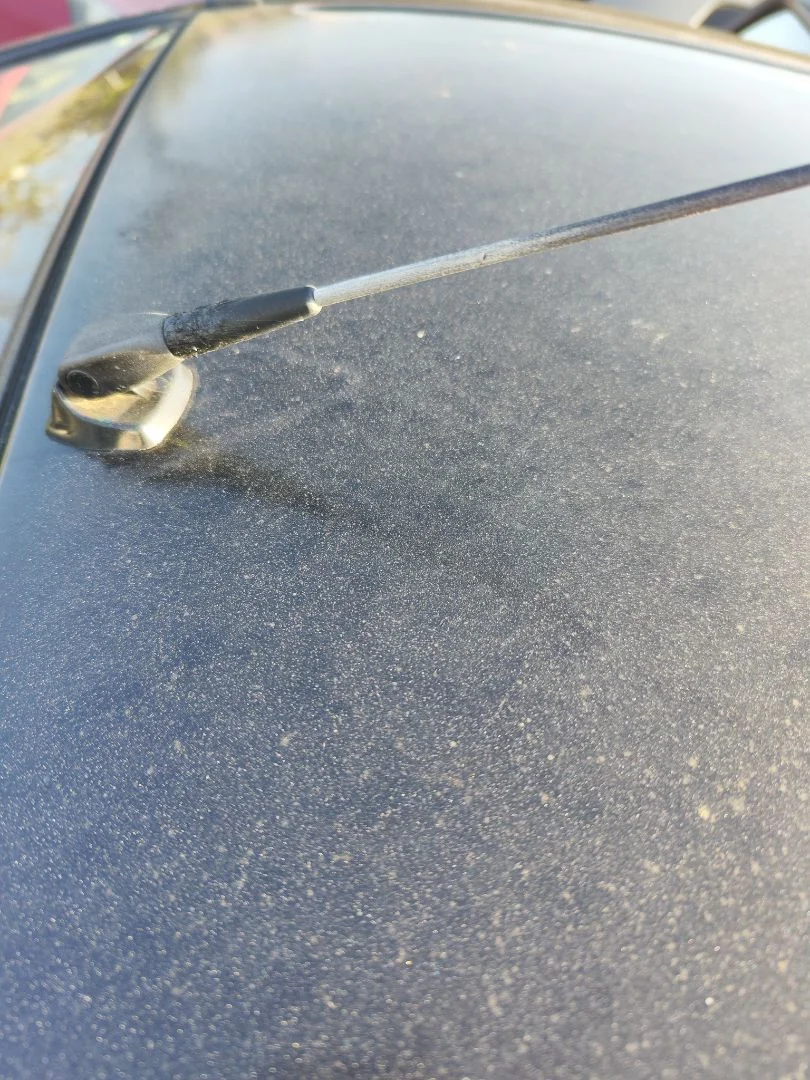 Foto de BASE DE ANTENA RENAULT SCENIC I (JA...) 1.4 CAT (95 CV / 70 KW) referencia 8200684863
