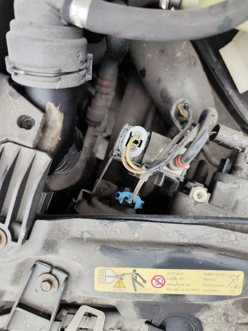 Foto de CLAXON BMW SERIE 5 BERLINA (E39) 3.0 24V Turbodiesel CAT (193 CV / 142 KW)