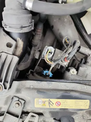 Foto de CLAXON BMW SERIE 5 BERLINA (E39) 3.0 24V Turbodiesel CAT (193 CV / 142 KW)