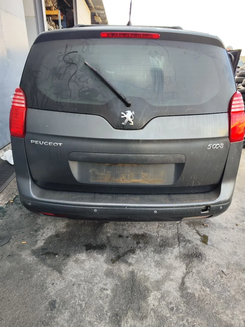 Foto de PORTON TRASERO PEUGEOT 5008 1.6 HDi FAP CAT (9HZ / DV6TED4) (109 CV / 80 KW)