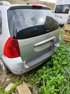 Foto de PORTON TRASERO PEUGEOT 307 BREAK/ SW (S2) 2.0 16V HDi FAP CAT (RHR / DW10BTED4) (136 CV / 100 KW) foto 1