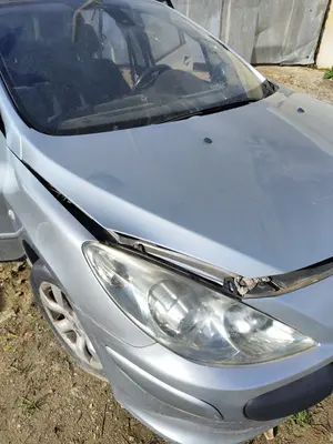 Foto de CAPO PEUGEOT 307 BREAK/ SW (S2) 2.0 16V HDi FAP CAT (RHR / DW10BTED4) (136 CV / 100 KW) foto 4