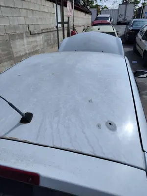 Foto de TECHO RENAULT CLIO III 1.5 dCi Diesel FAP (75 CV / 55 KW)