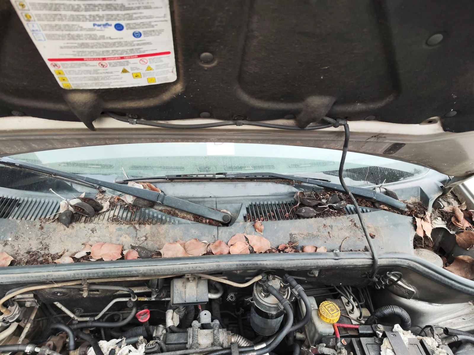 Foto de ARTICULACION LIMPIA DELANTERA FIAT I DOBLÒ (119) 1.9 JTD CAT (105 CV / 77 KW)