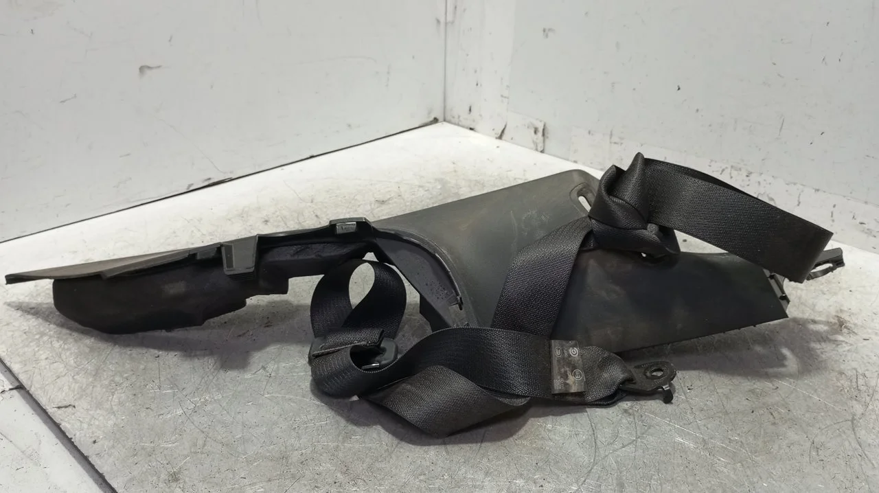 Foto de CINTURON SEGURIDAD TRASERO DERECHO TESLA MODEL 3 eléctrico 258 kW (cont. 153 kW) (350 CV / 258 KW) referencia 1110154-01-F