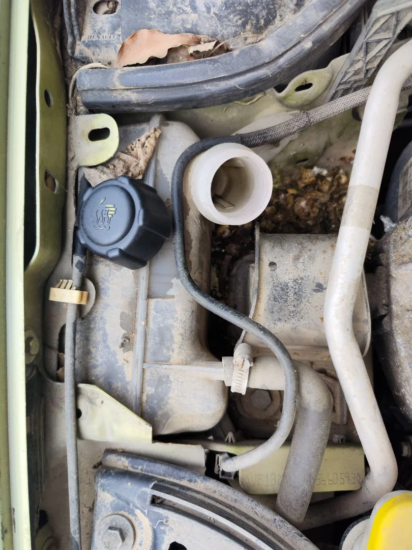 Foto de DEPOSITO EXPANSION RENAULT MEGANE II BERLINA 5P 1.6 CAT (113 CV / 83 KW) referencia 7701474499