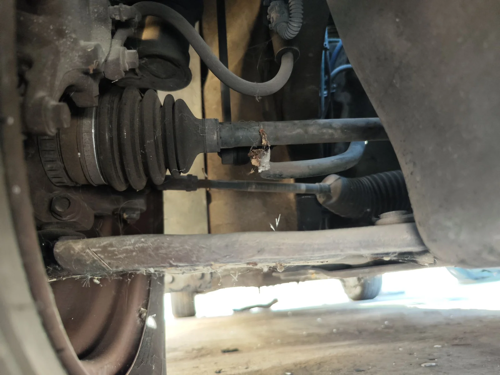 Foto de TRANSMISION DELANTERA DERECHA OPEL CORSA C 1.2 16V CAT (Z 12 XEP / LB4) (80 CV / 59 KW)