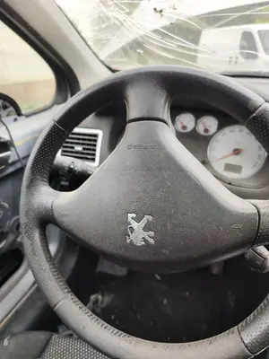 Foto de AIRBAG DELANTERO IZQUIERDO PEUGEOT 307 BREAK/ SW (S2) 2.0 16V HDi FAP CAT (RHR / DW10BTED4) (136 CV / 100 KW)