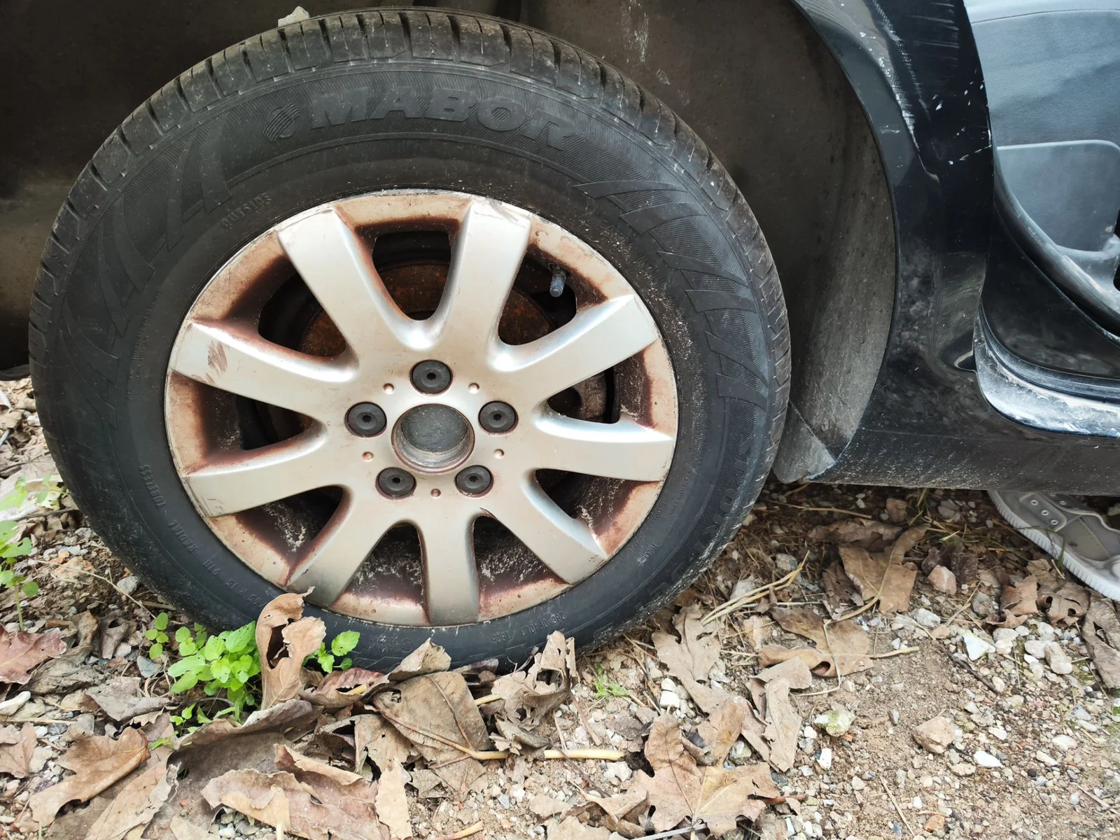 Foto de LLANTA VOLKSWAGEN GOLF PLUS V (5M1) 1.9 TDI (105 CV / 77 KW)