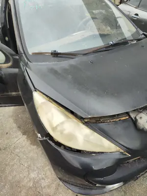 Foto de CAPO PEUGEOT 207 SW 1.4 16V VTi (95 CV / 70 KW) referencia 7901N2 foto 7