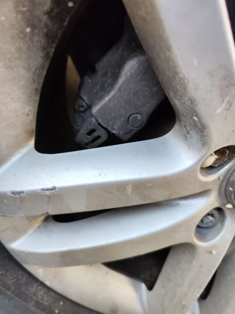 Foto de PINZA DE FRENO TRASERA IZQUIERDA AUDI Q7 (4L) 3.0 V6 24V TDI (233 CV / 171 KW)