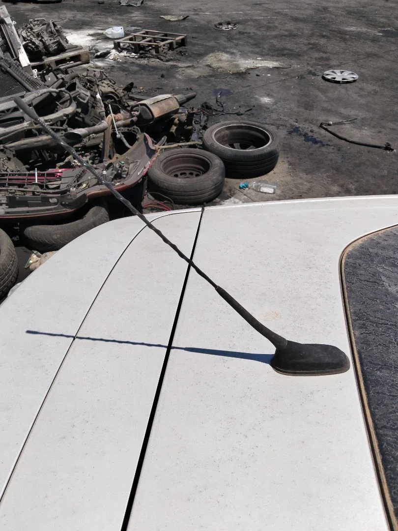 Foto de ANTENA CITROEN C4 CACTUS 1.2 12V VTi (82 CV / 60 KW)