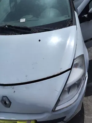 Foto de CAPO RENAULT CLIO III 1.2 16V (75 CV / 55 KW) foto 3