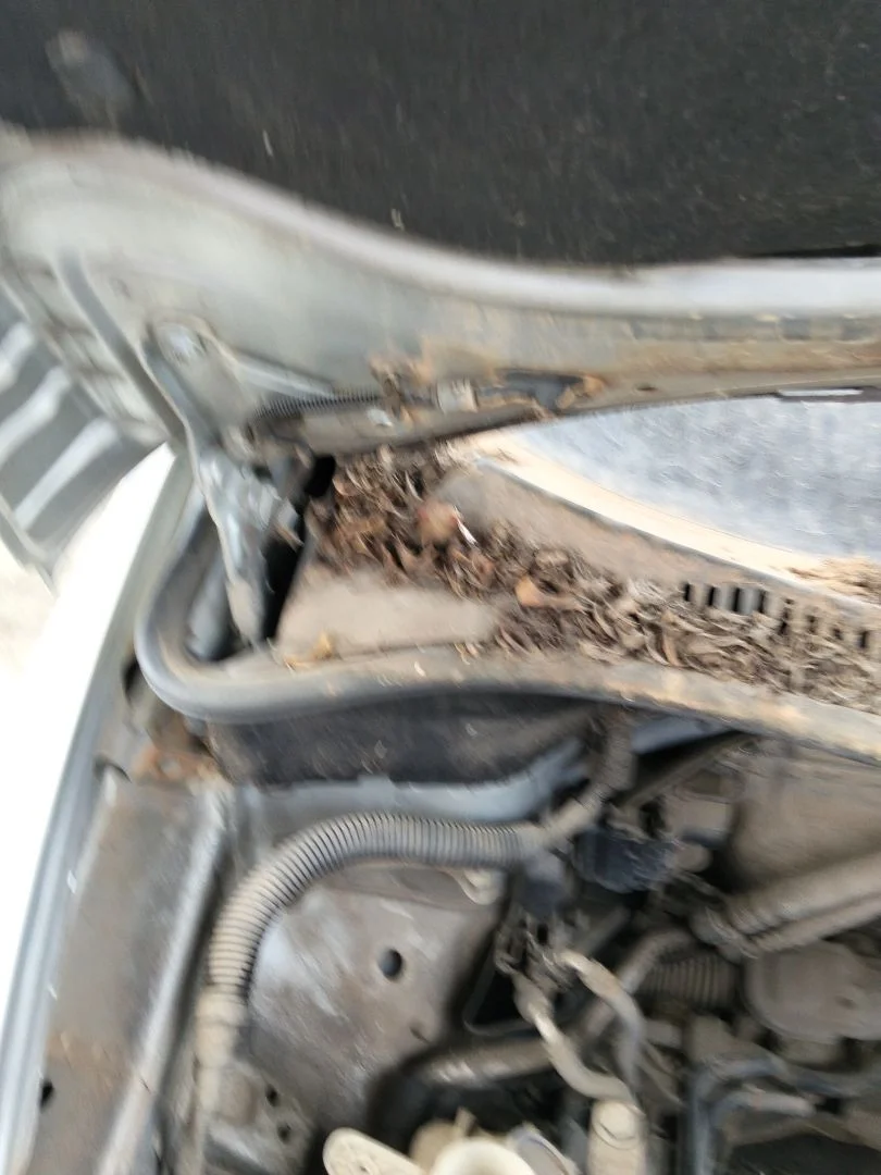 Foto de MOTOR LIMPIA DELANTERO SEAT ALTEA (5P1) 1.9 TDI (105 CV / 77 KW)