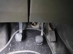 Foto de CAJA CAMBIOS FORD FOCUS BERLINA (CAP) 1.8 TDCi Turbodiesel CAT (116 CV / 85 KW) referencia R3T9A