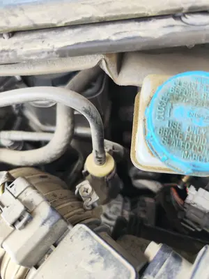 Foto de SERVOFRENO NISSAN PRIMERA BERLINA (P12) 1.9 16V Turbodiesel CAT (120 CV / 88 KW) referencia 47210AV70A