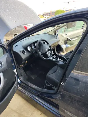 Foto de GOMAS CONTORNO PUERTA PEUGEOT 308 1.6 16V (120 CV / 88 KW)