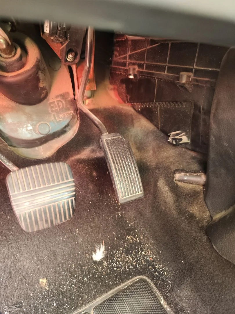 Foto de POTENCIOMETRO PEDAL NISSAN PRIMERA BERLINA (P12) 1.9 16V Turbodiesel CAT (120 CV / 88 KW)
