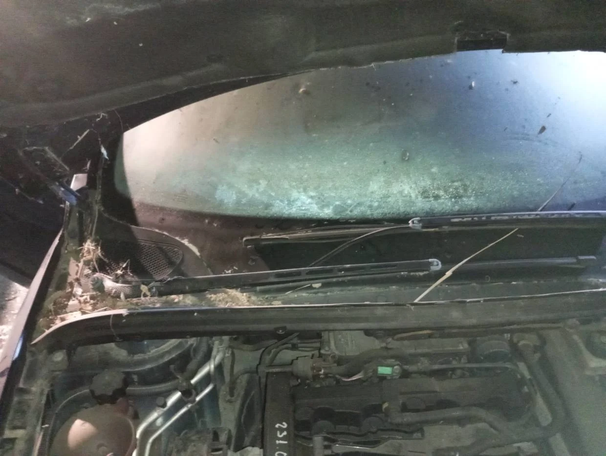 Foto de BRAZO LIMPIA DELANTERO DERECHO PEUGEOT 307 CC CABRIO-COUPÉ (S2)