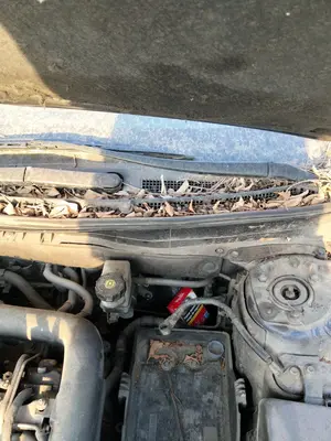 Foto de BRAZO LIMPIA DELANTERO IZQUIERDO MAZDA 6 BERLINA (GH) 2.2 Turbodiesel CAT (163 CV / 120 KW) referencia GS1D-67-321A