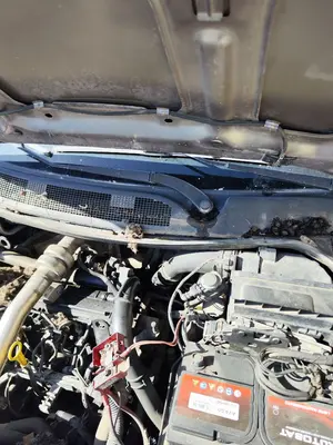 Foto de ARTICULACION LIMPIA DELANTERA RENAULT MEGANE II BERLINA 5P 1.5 dCi Diesel (101 CV / 74 KW)