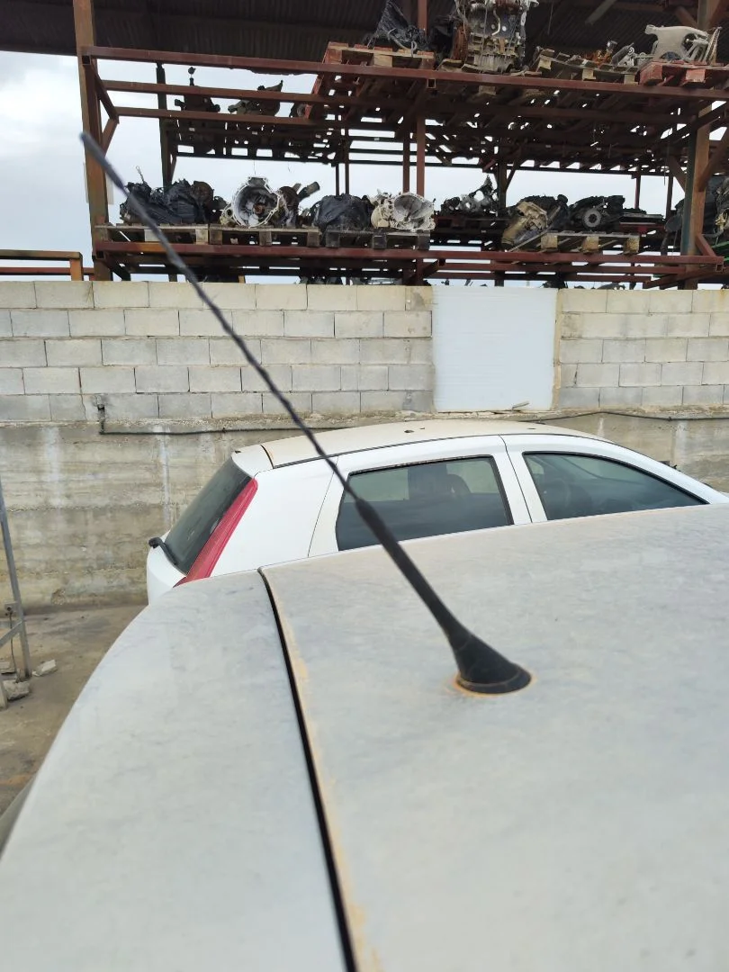 Foto de ANTENA VOLKSWAGEN GOLF V (1K1)(10.2003) 1.4 16V TSI (170 CV / 125 KW)