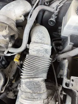 Foto de TUBO CITROEN C5 BERLINA 2.0 HDi (109 CV / 80 KW)