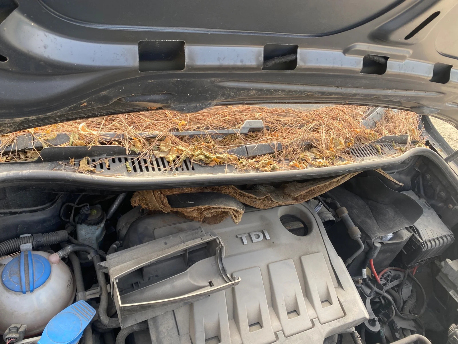 Foto de TORPEDO VOLKSWAGEN TOURAN (1T3) 1.6 TDI DPF (105 CV / 77 KW)