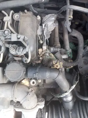 Foto de MOTOR COMPLETO FORD FOCUS BERLINA (CAP) 1.6 TDCi CAT (109 CV / 80 KW) referencia G8DA foto 2