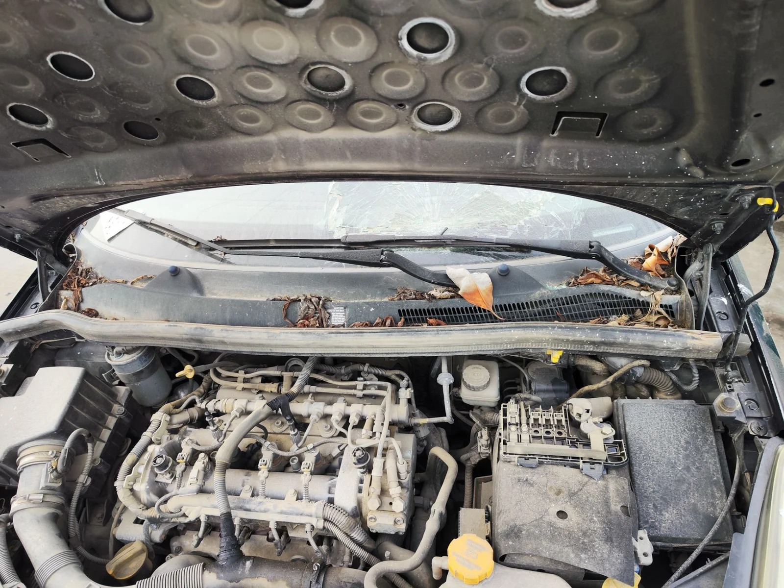 Foto de ARTICULACION LIMPIA DELANTERA OPEL CORSA D 1.3 16V CDTI (75 CV / 55 KW)