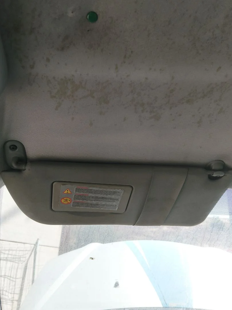 Foto de PARASOL IZQUIERDO RENAULT SCENIC I (JA...) 1.9 dCi Diesel CAT (102 CV / 75 KW)